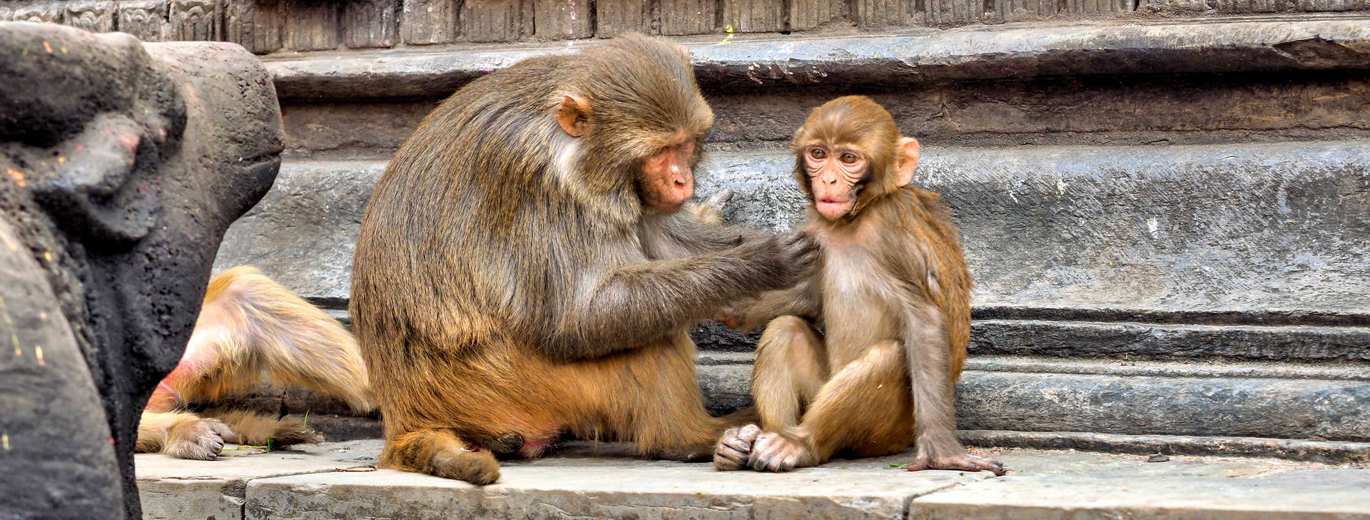 Ubytování IAN Obrázek17