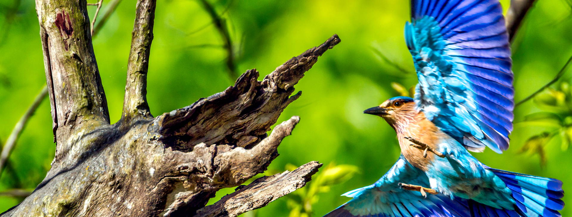 Ubytování IAN Obrázek25