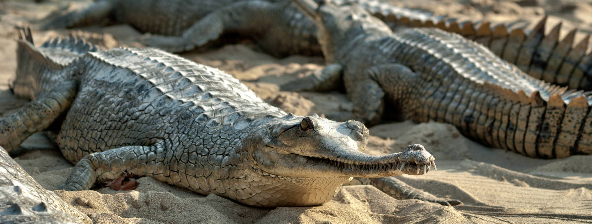 Ubytování IAN Obrázek21