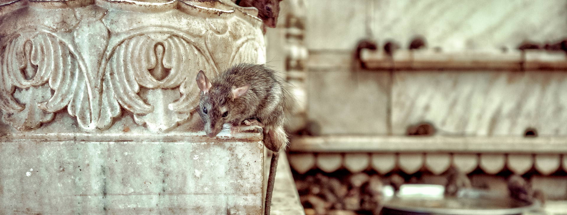 Ubytování INR Obrázek31