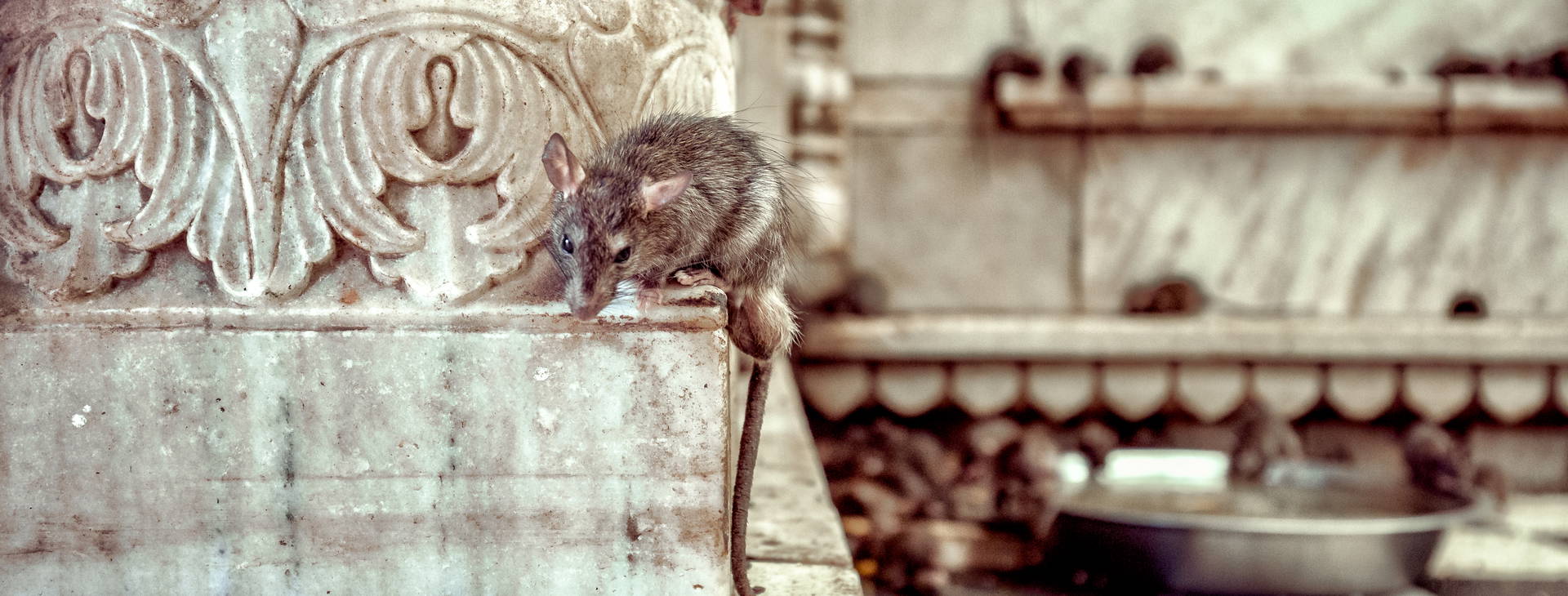 Ubytování IXR Obrázek40