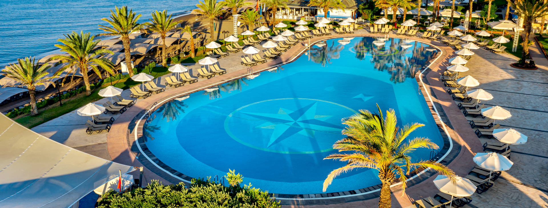 Papillon Belvil Obrázek5