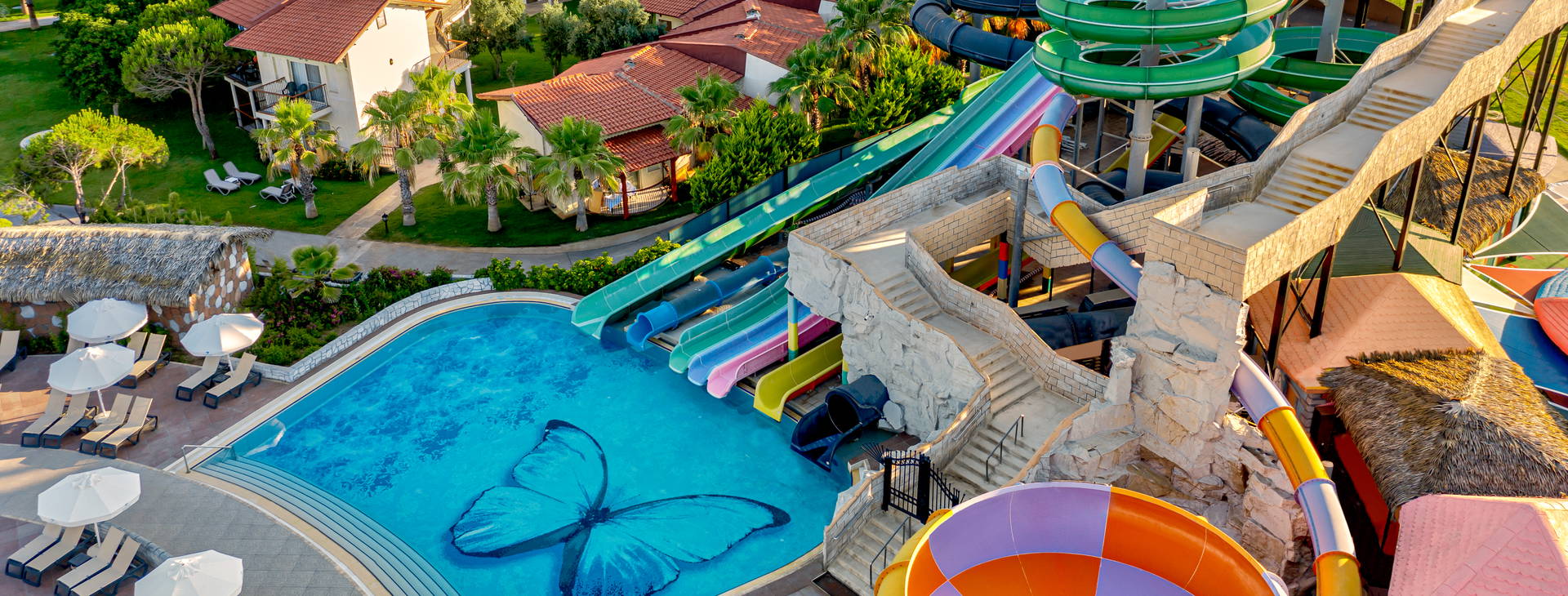 Papillon Belvil Obrázek9