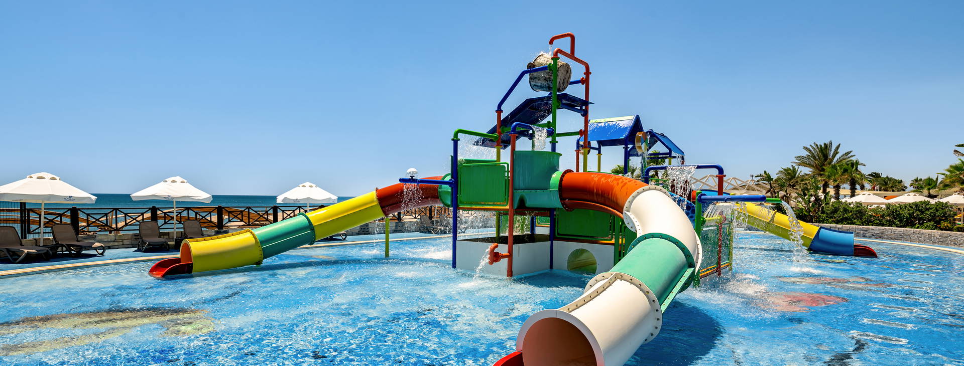 Papillon Belvil Obrázek10