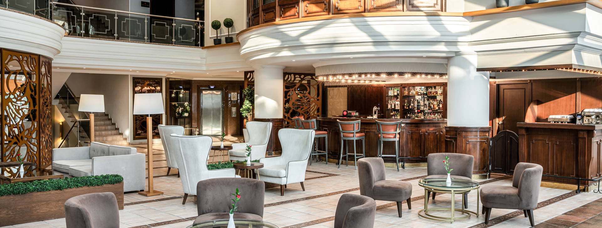 Papillon Belvil Obrázek20