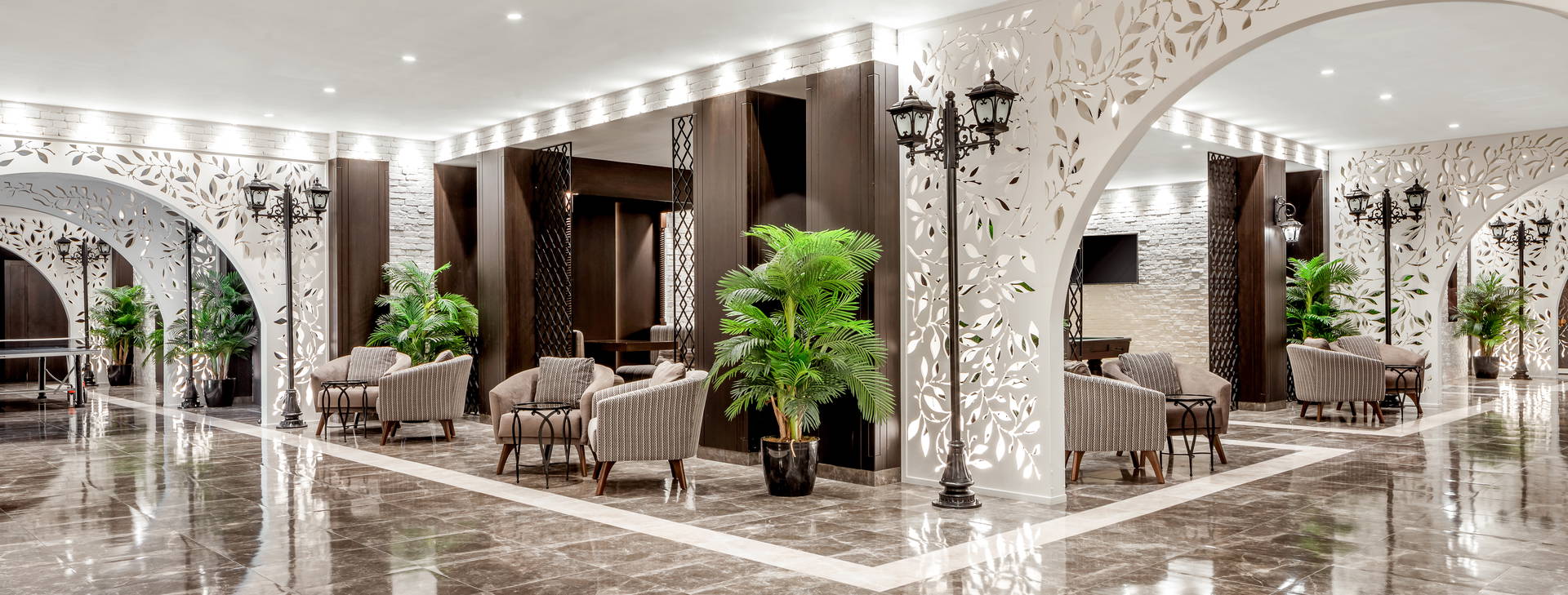 Papillon Belvil Obrázek25