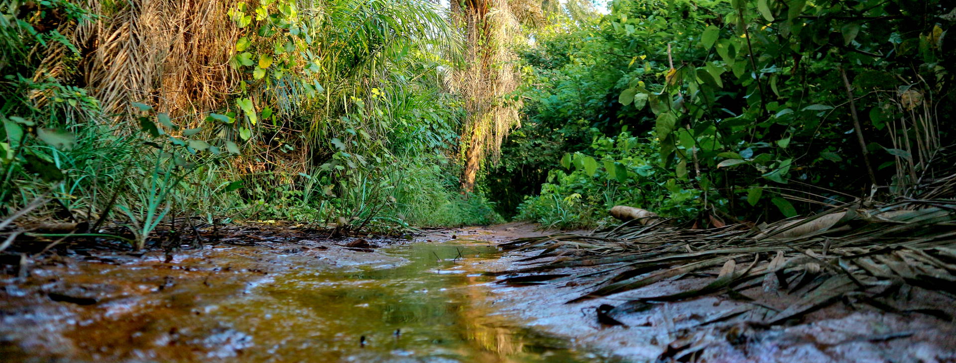 Ubytování GSM Obrázek25