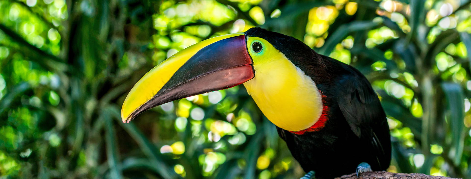 Ubytování PKN Obrázek11