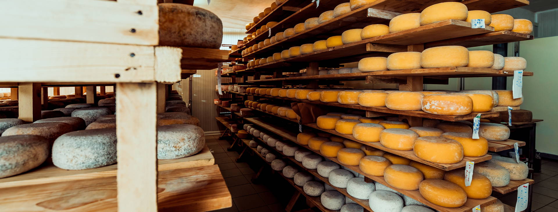 Ubytování EST Obrázek22