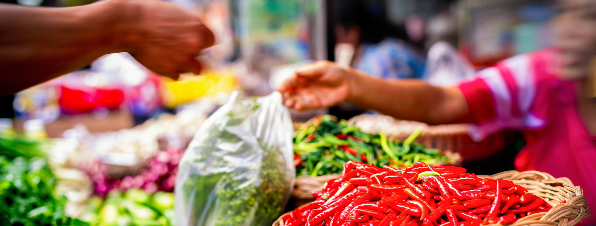 Ubytování TPT Obrázek8