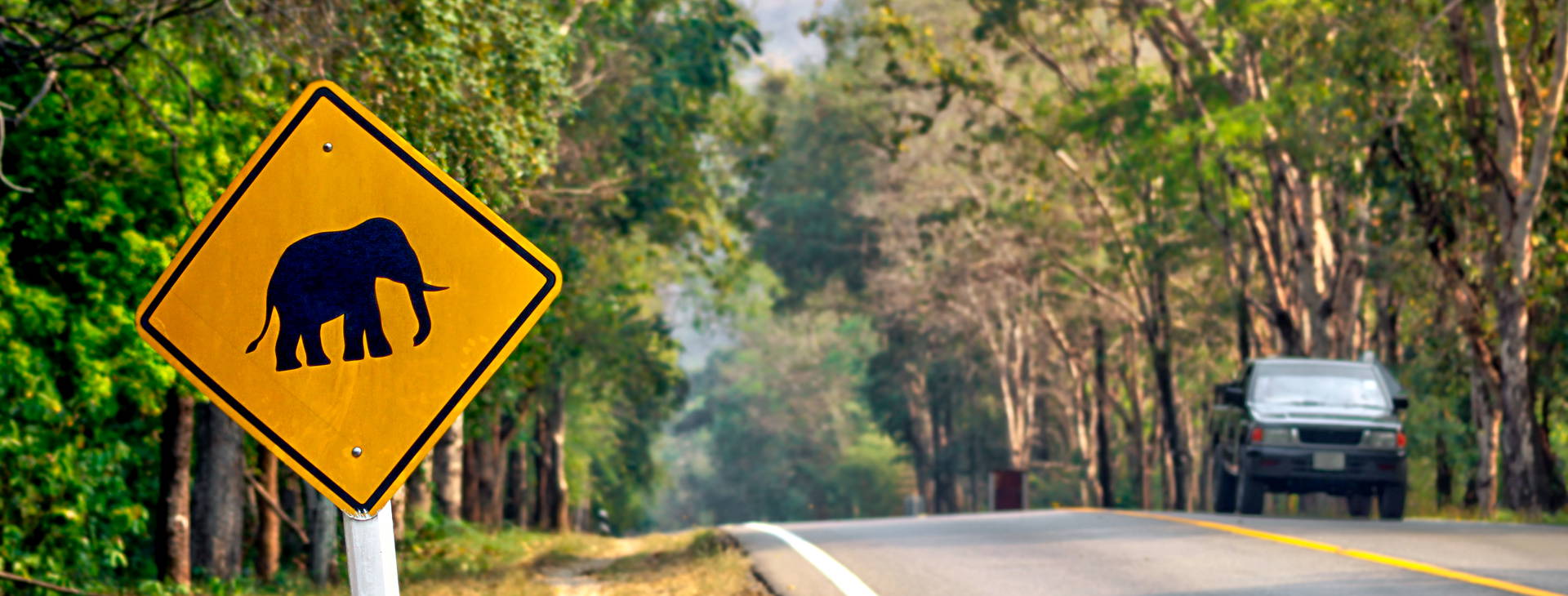 Ubytování TPT Obrázek9