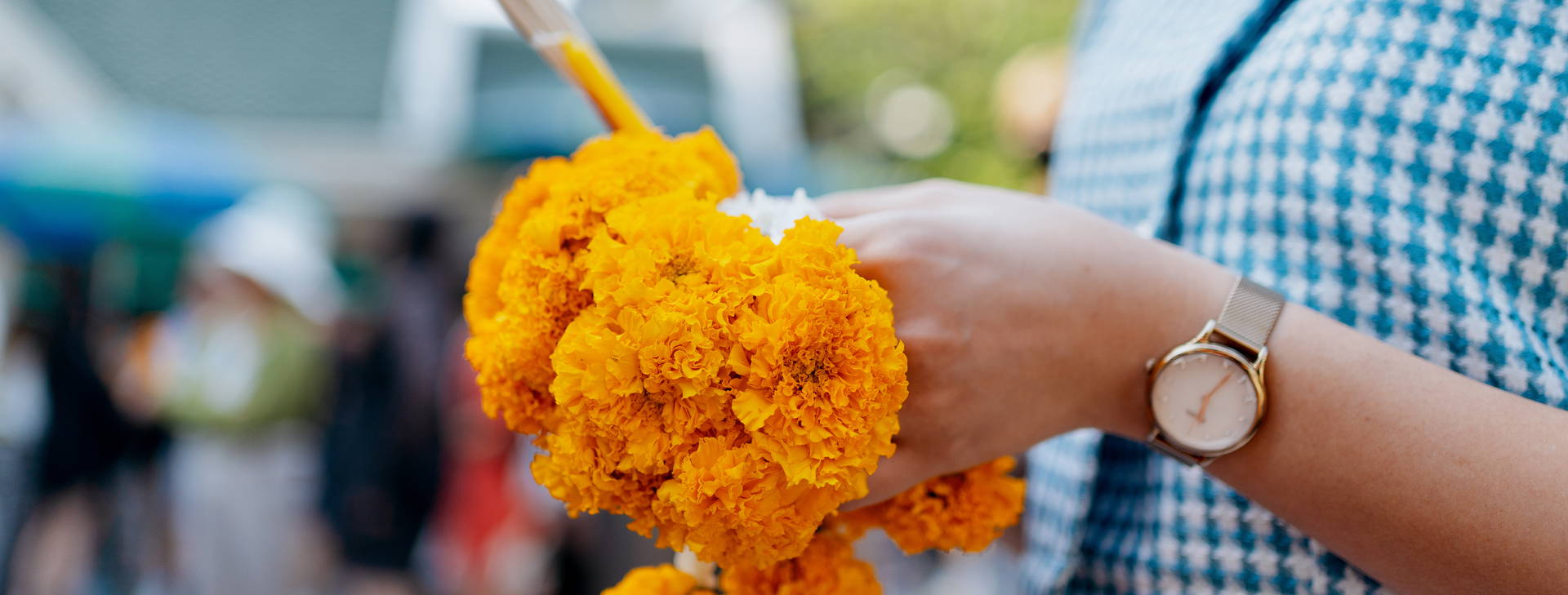 Ubytování TPT Obrázek10