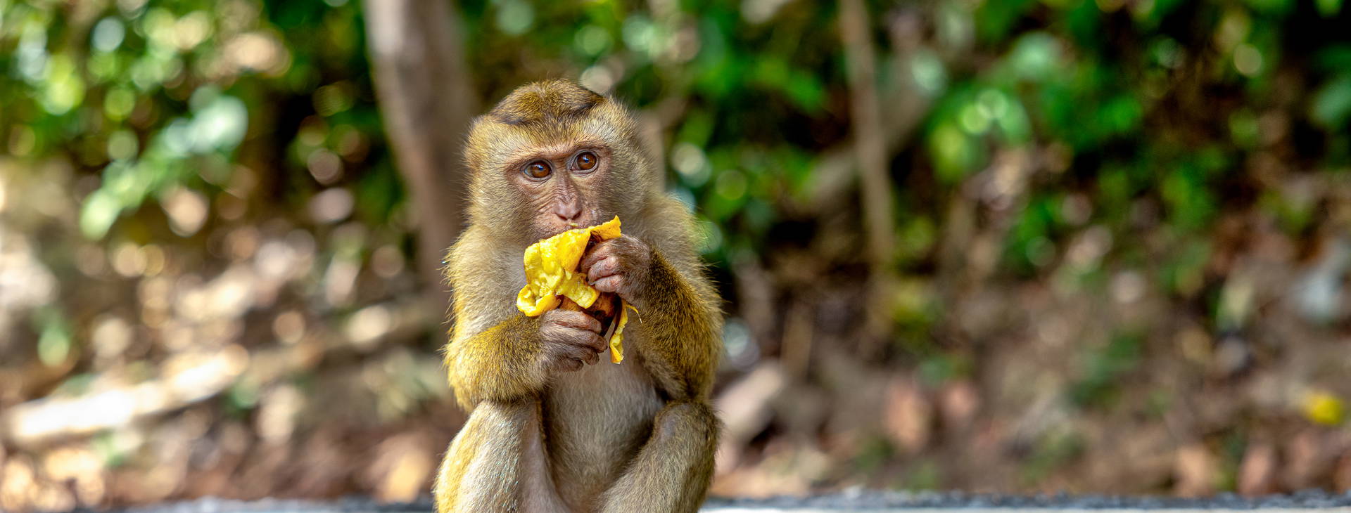 Ubytování TPT Obrázek12