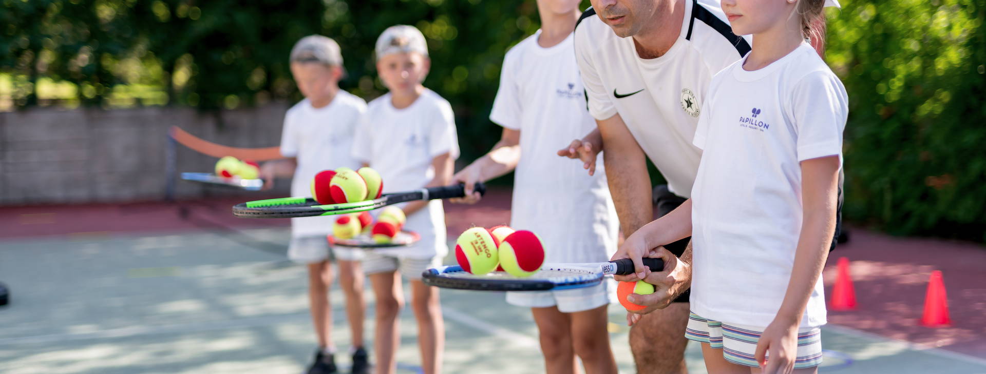 Papillon Ayscha  Obrázek16