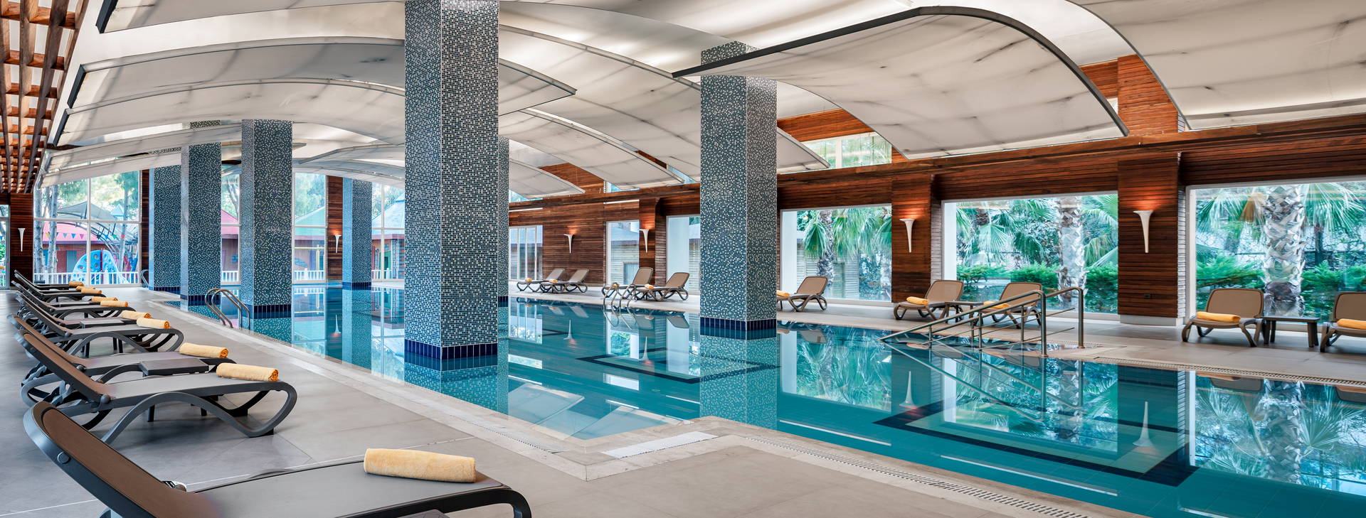 Papillon Ayscha  Obrázek23