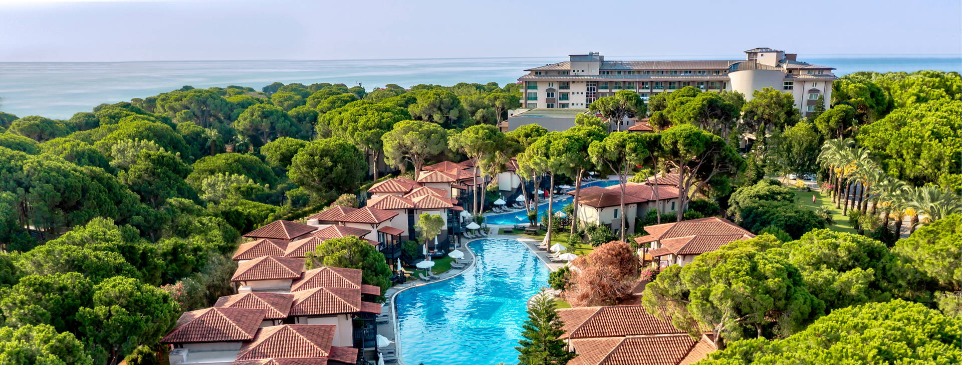 Papillon Ayscha  Obrázek5