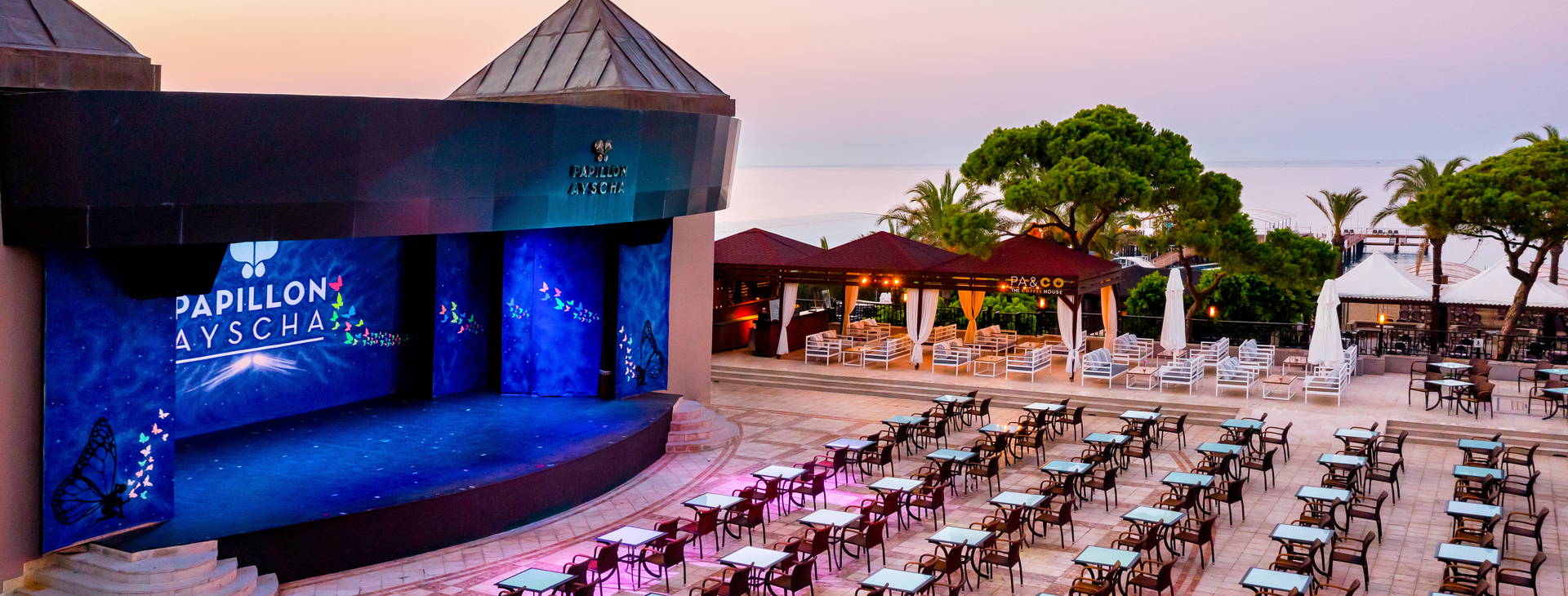 Papillon Ayscha  Obrázek19