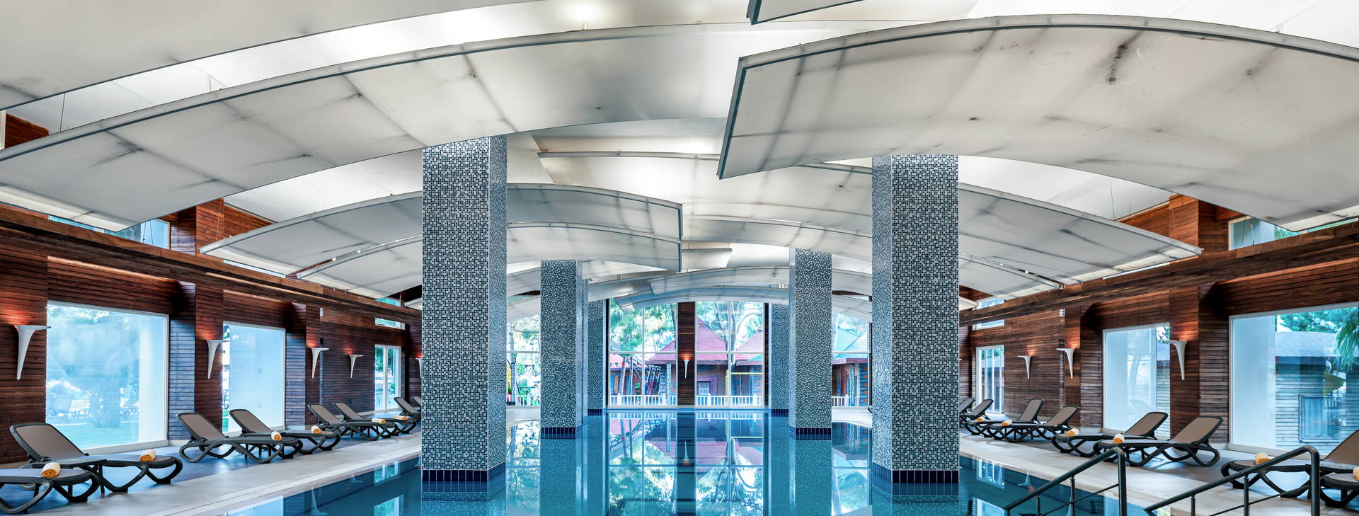 Papillon Ayscha  Obrázek24