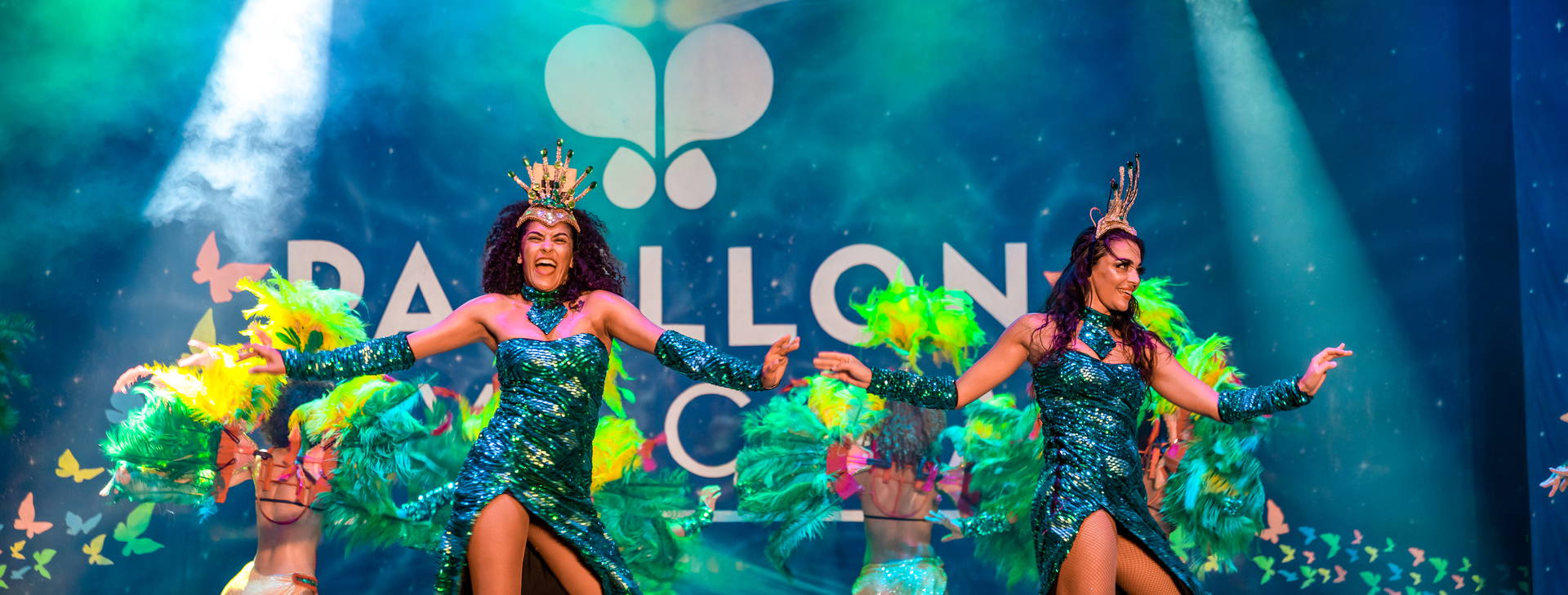 Papillon Ayscha  Obrázek20