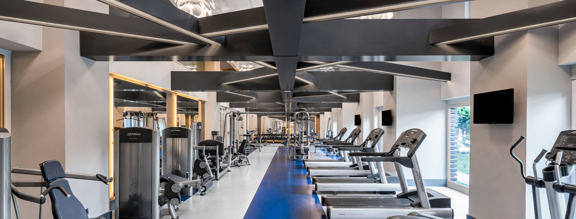 Papillon Ayscha  Obrázek25