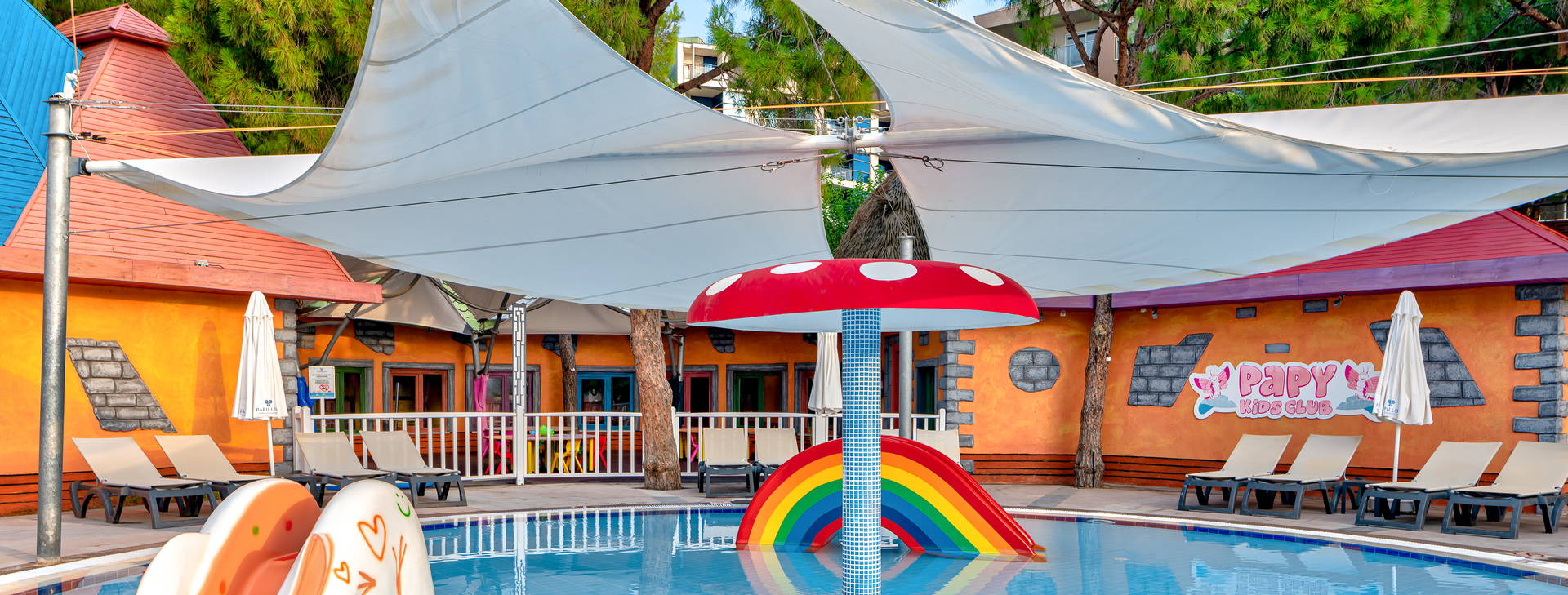 Papillon Ayscha  Obrázek6