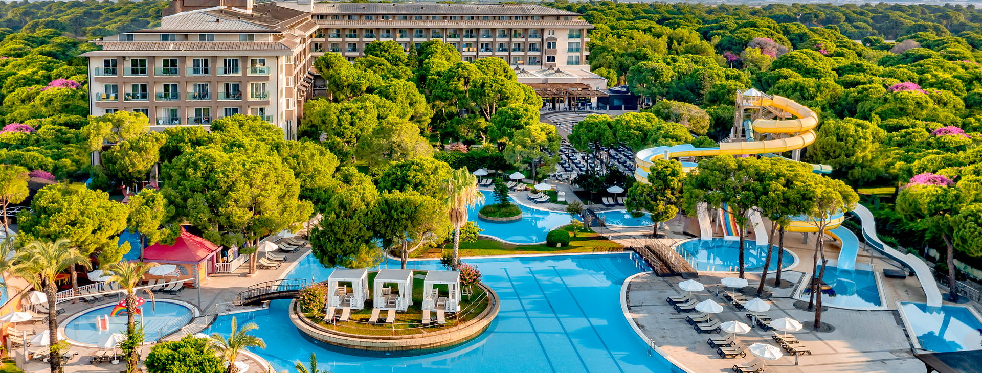 Papillon Ayscha  Obrázek4