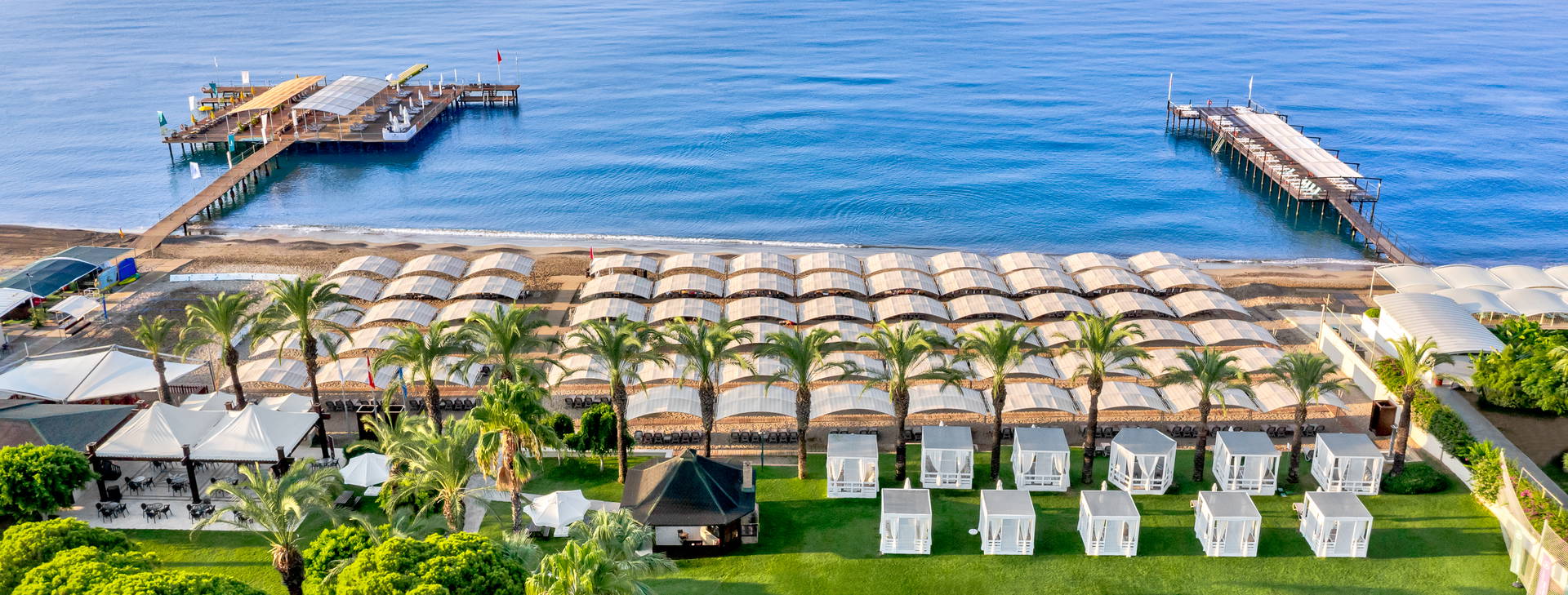 Papillon Ayscha  Obrázek12