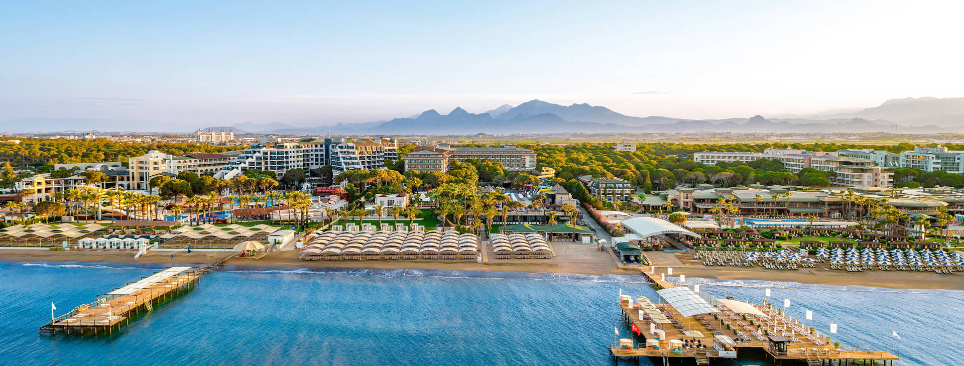 Papillon Ayscha  Obrázek7