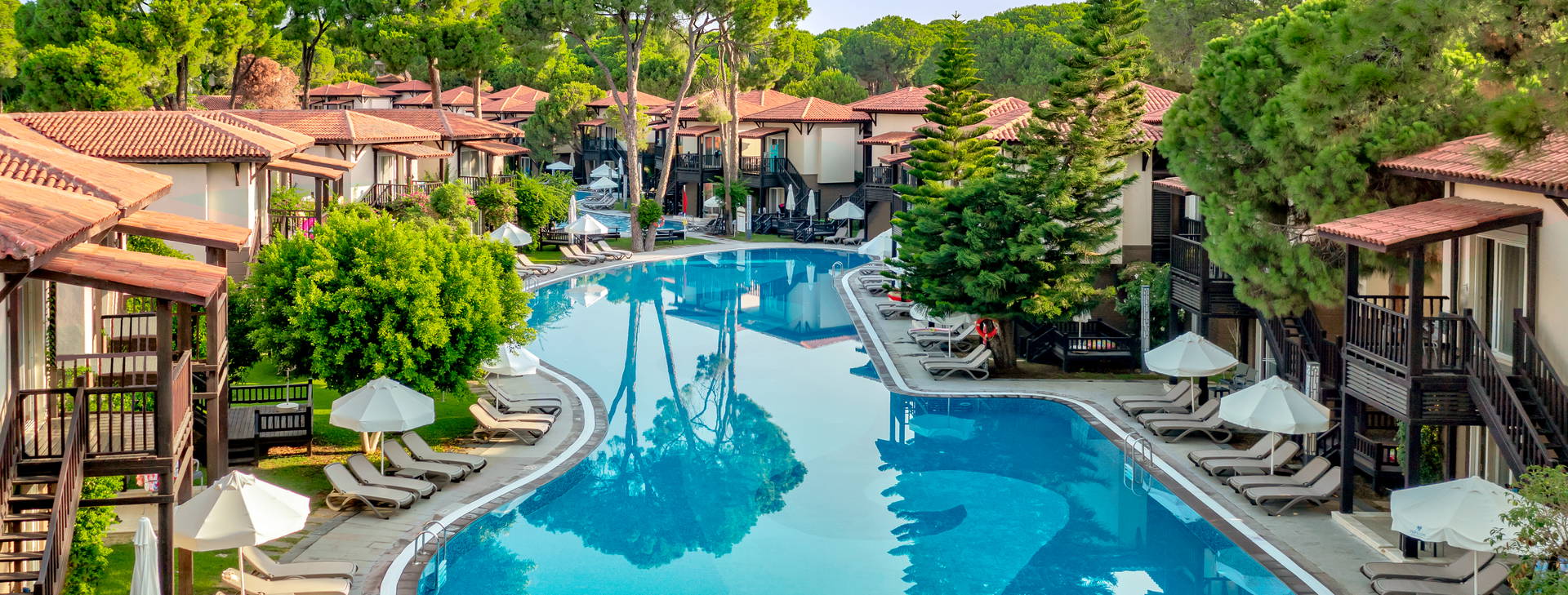 Papillon Ayscha  Obrázek3