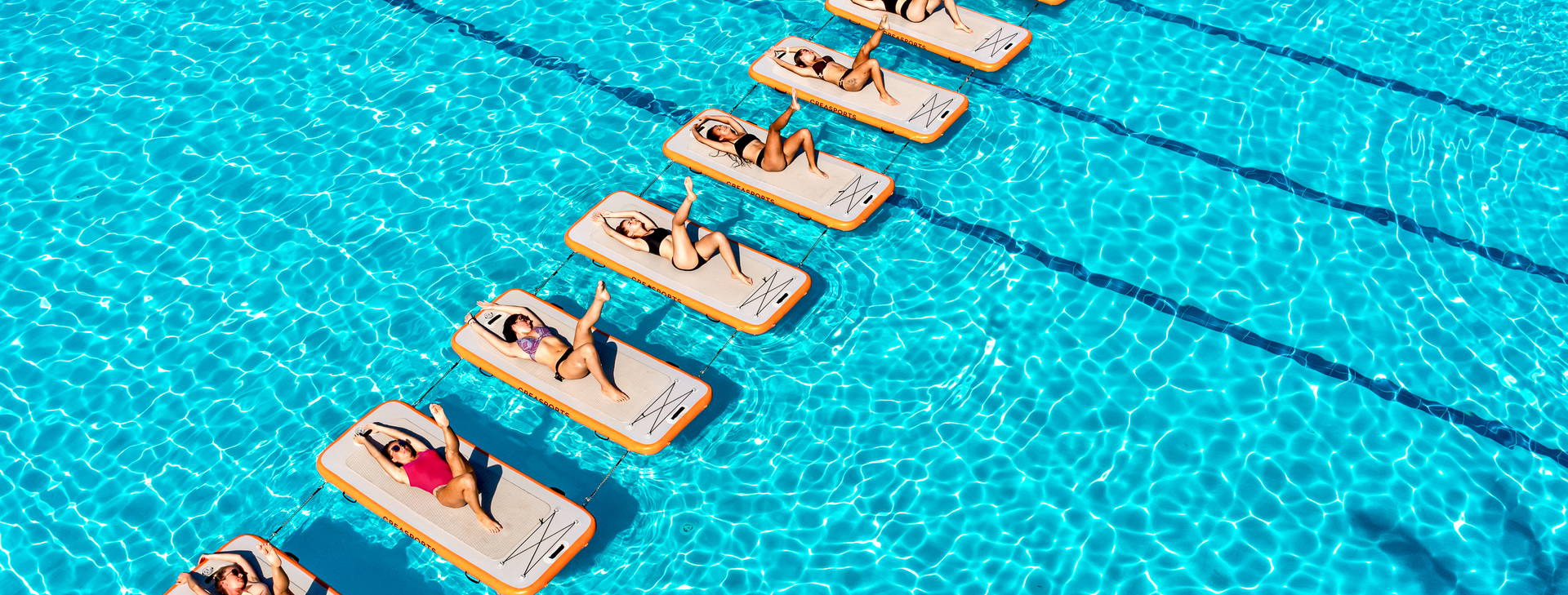 Papillon Ayscha  Obrázek26