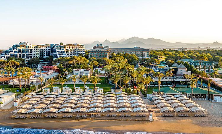 Papillon Ayscha -obr