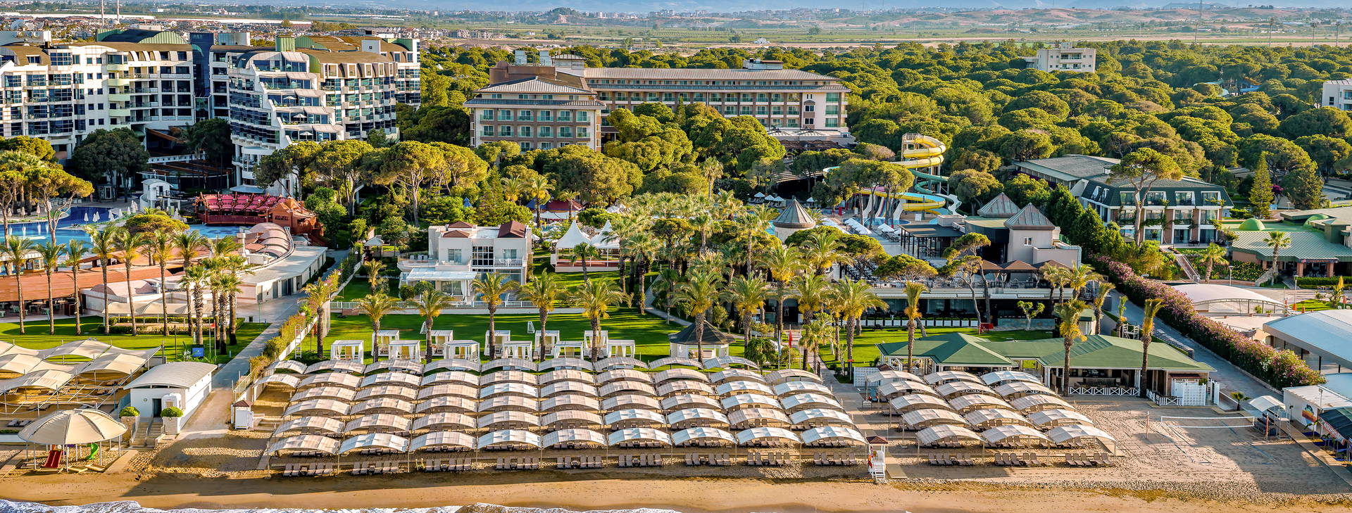 Papillon Ayscha  Obrázek10