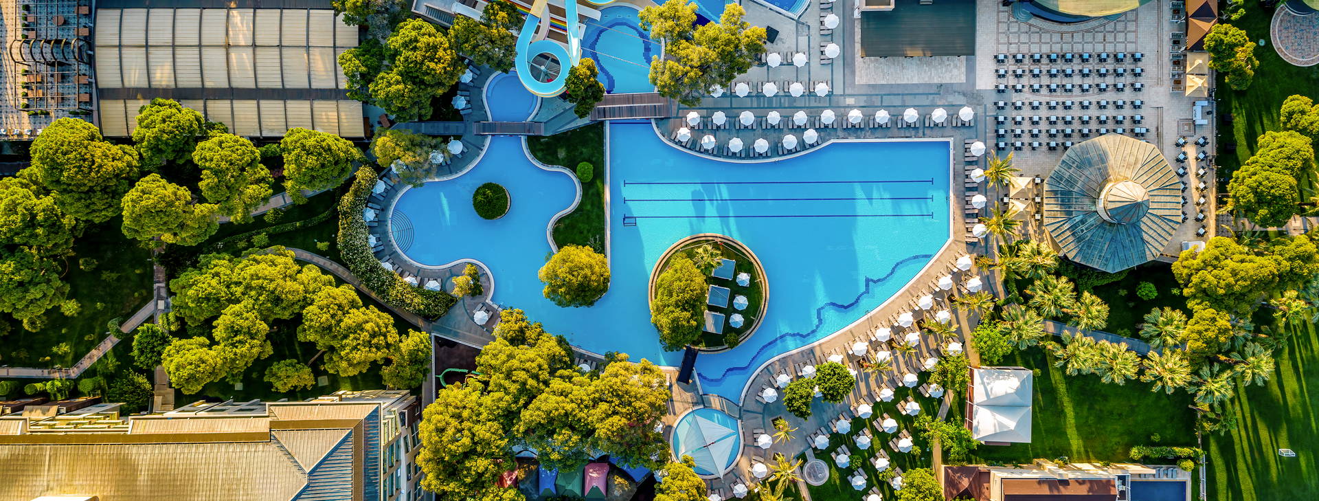 Papillon Ayscha  Obrázek2