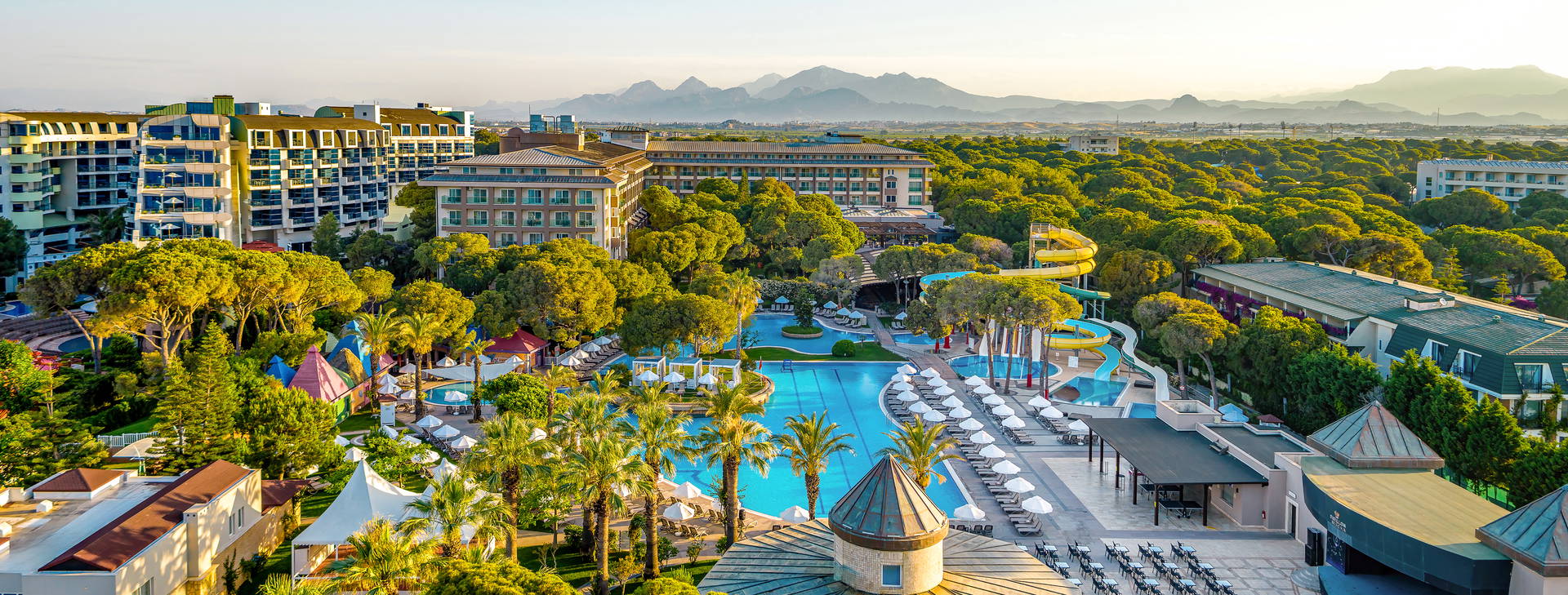 Papillon Ayscha  Obrázek9