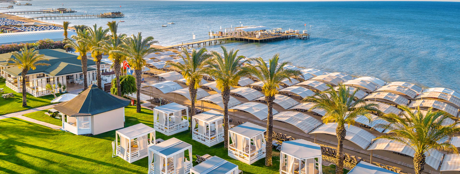 Papillon Ayscha  Obrázek11