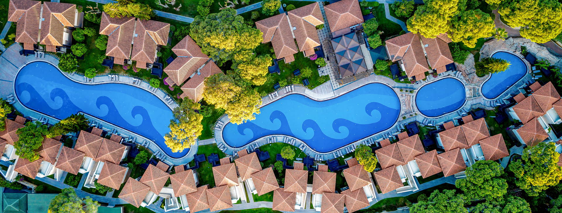 Papillon Ayscha  Obrázek8