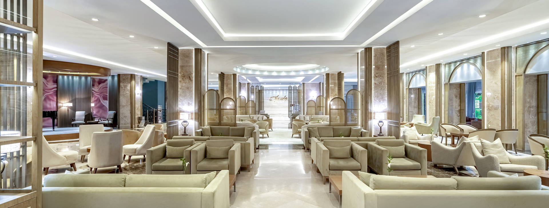 Papillon Ayscha  Obrázek13