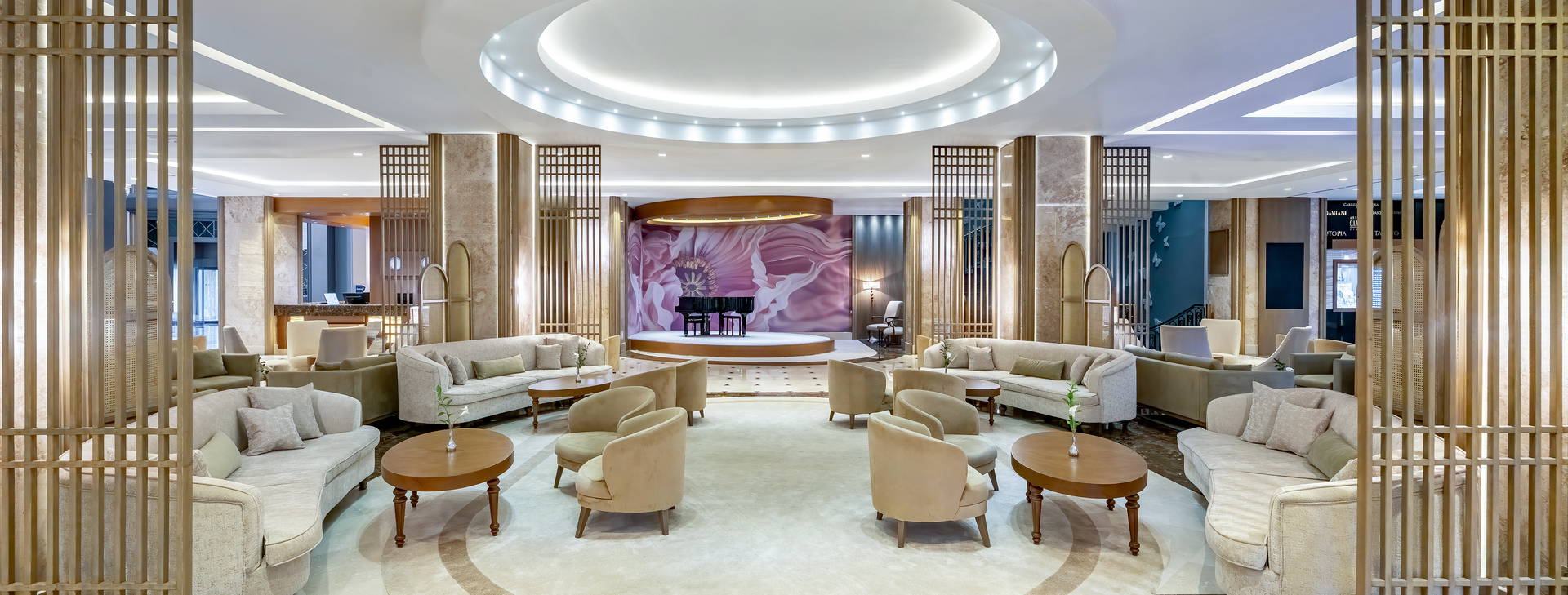 Papillon Ayscha  Obrázek15