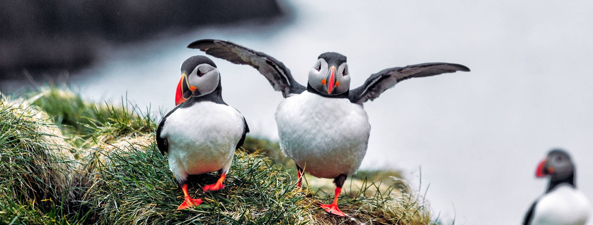 Ubytování FAE Obrázek9