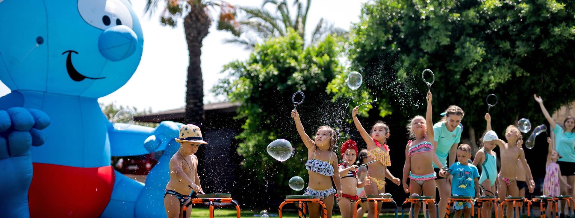 Papillon Ayscha  Obrázek17