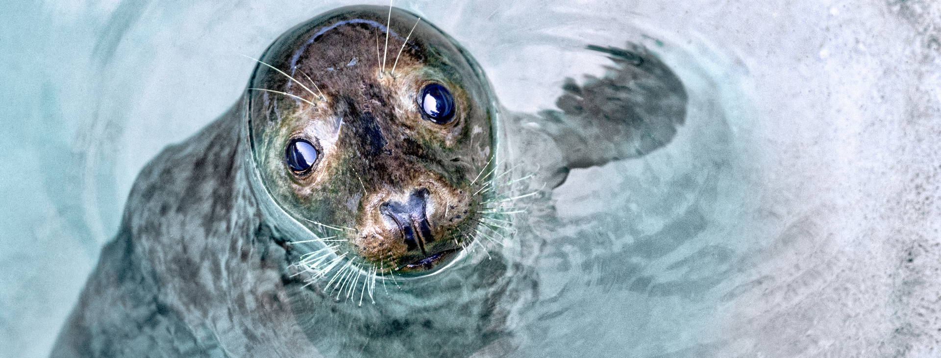 Ubytování GII Obrázek10