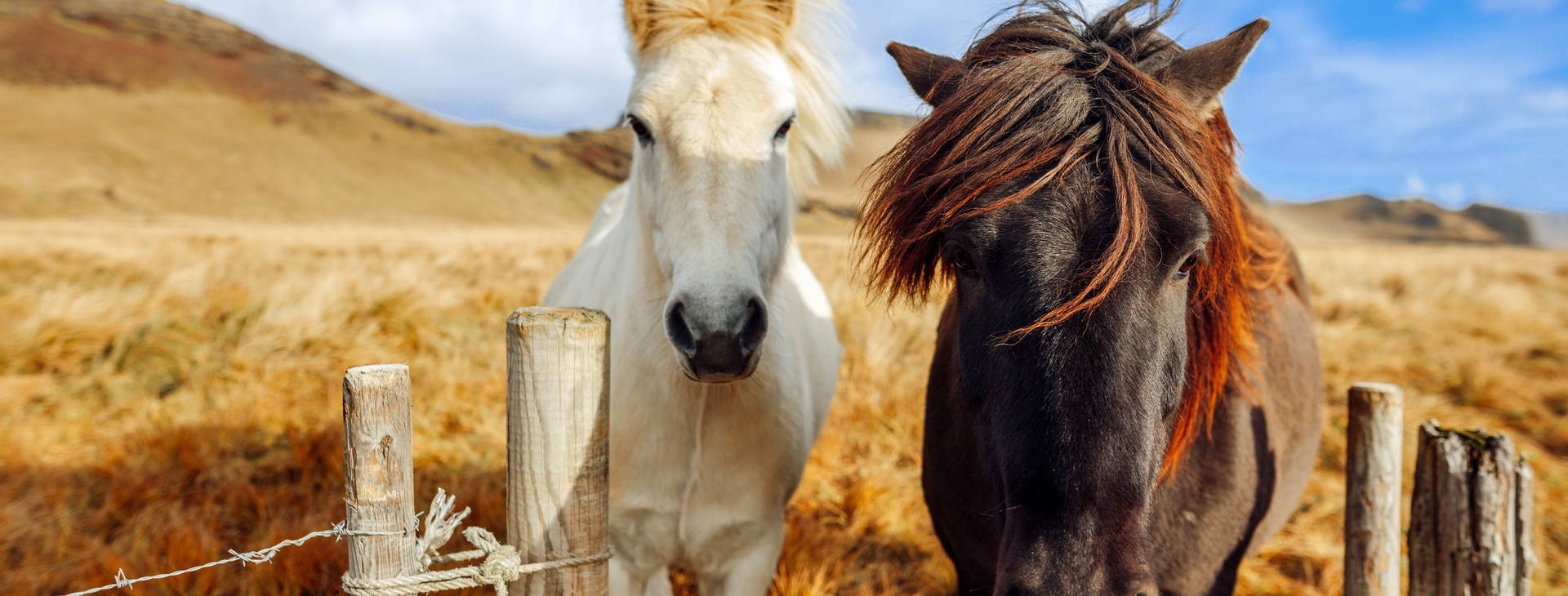 Ubytování GII Obrázek8