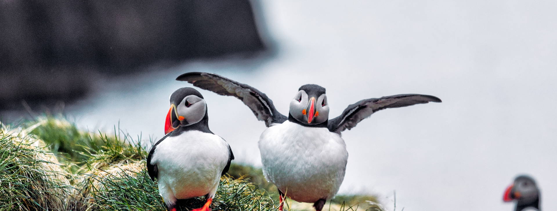 Ubytování GII Obrázek24