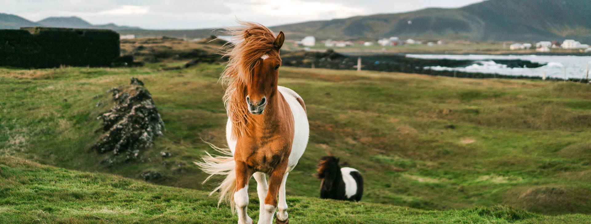 Ubytování GII Obrázek27