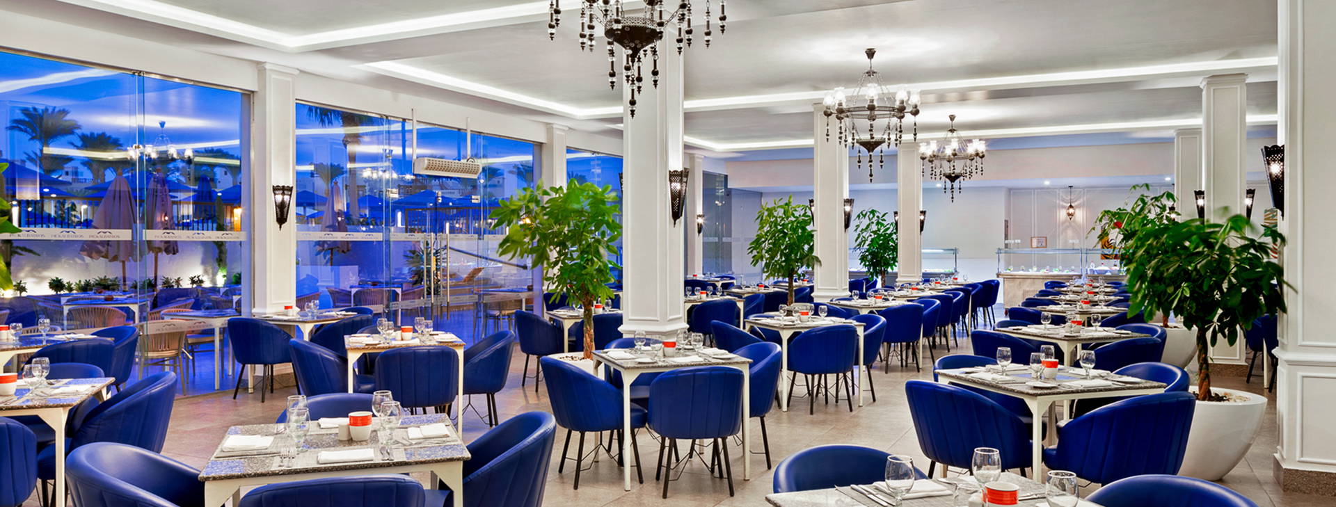 Albatros Palace Port Ghalib Obrázek12