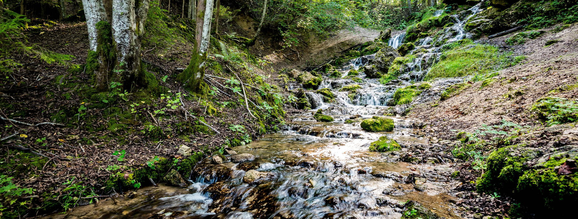 Ubytování CMA Obrázek33