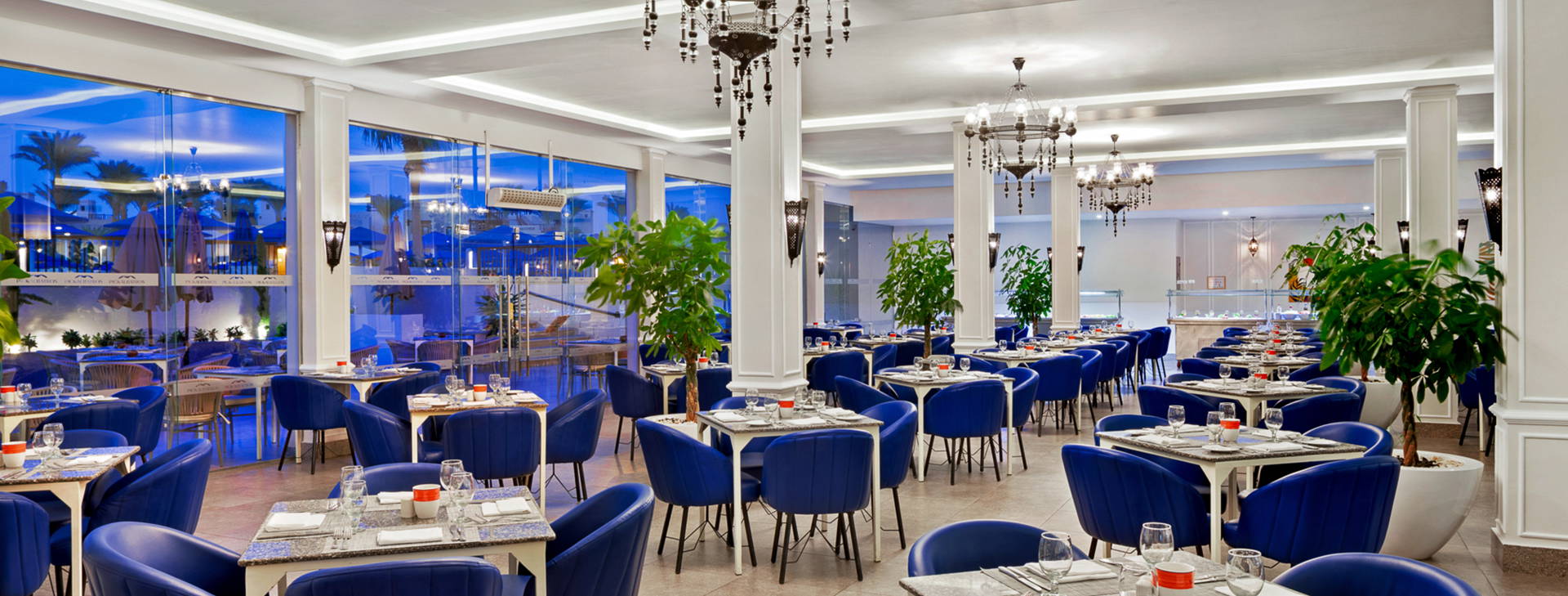 Albatros Oasis Port Ghalib Obrázek36