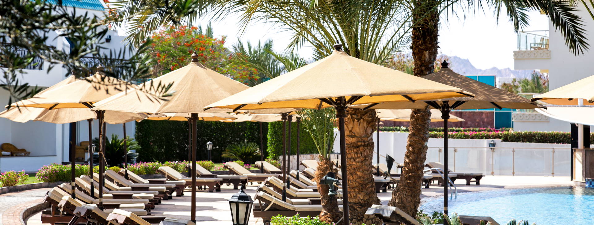 Sultan Gardens Obrázek9