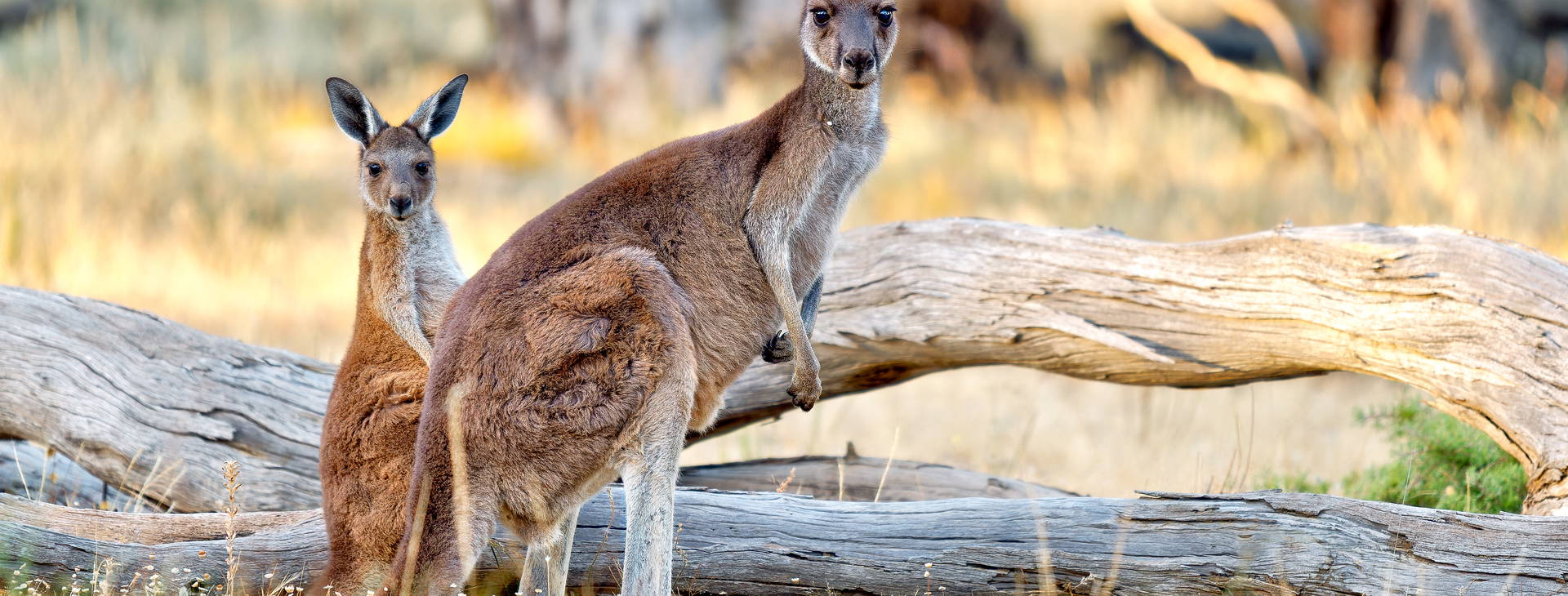 Ubytování AUF Obrázek6