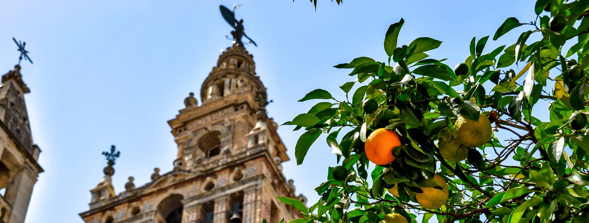 Ubytování HAL Obrázek1